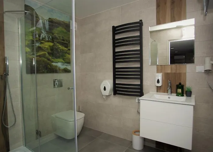 Mini-hôtel Pod Debami 2*