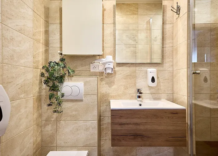 Mini-hôtel Pod Debami 2*