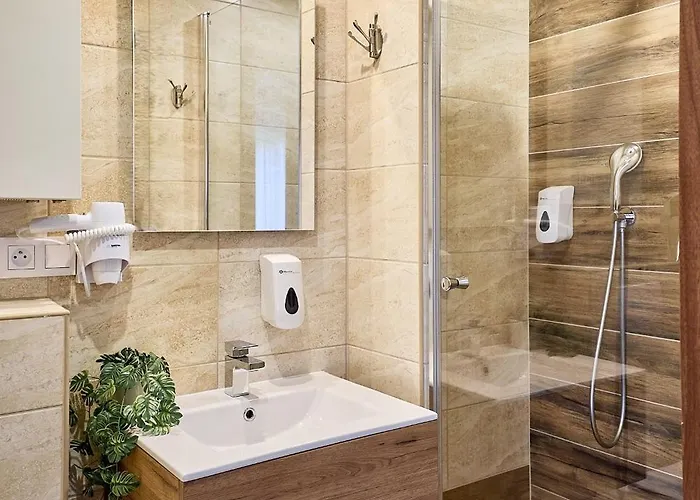 Mini-hôtel Pod Debami