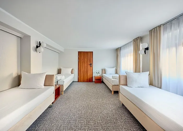 Mini-hôtel Pod Debami 2*